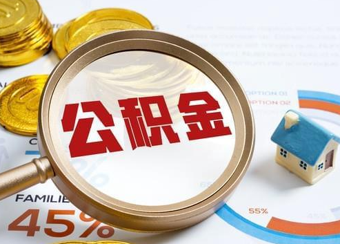 青岛2025年政策调整对个人影响综合解析‌